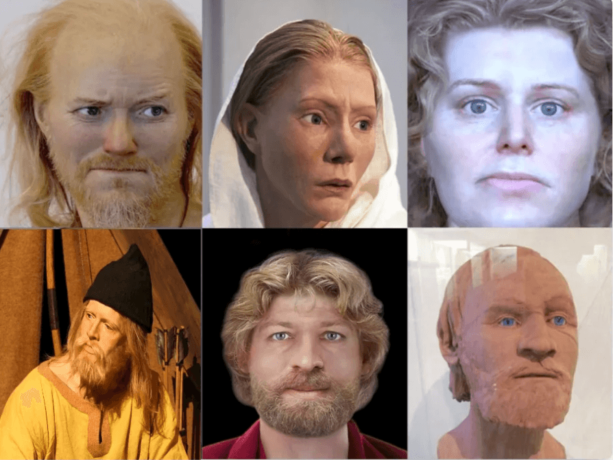 Distinctive Nordic Facial Traits: Tracing the Genetic Legacy of the Vikings